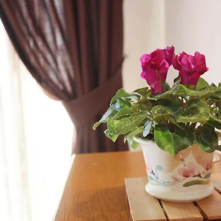 Aegeon 3* テッサロニキ